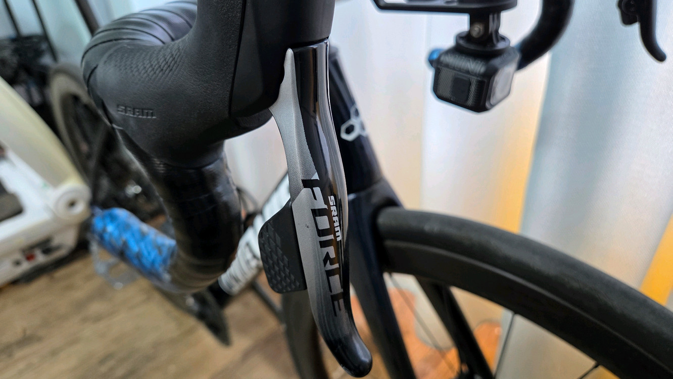 위아위스 와스프로 이미지