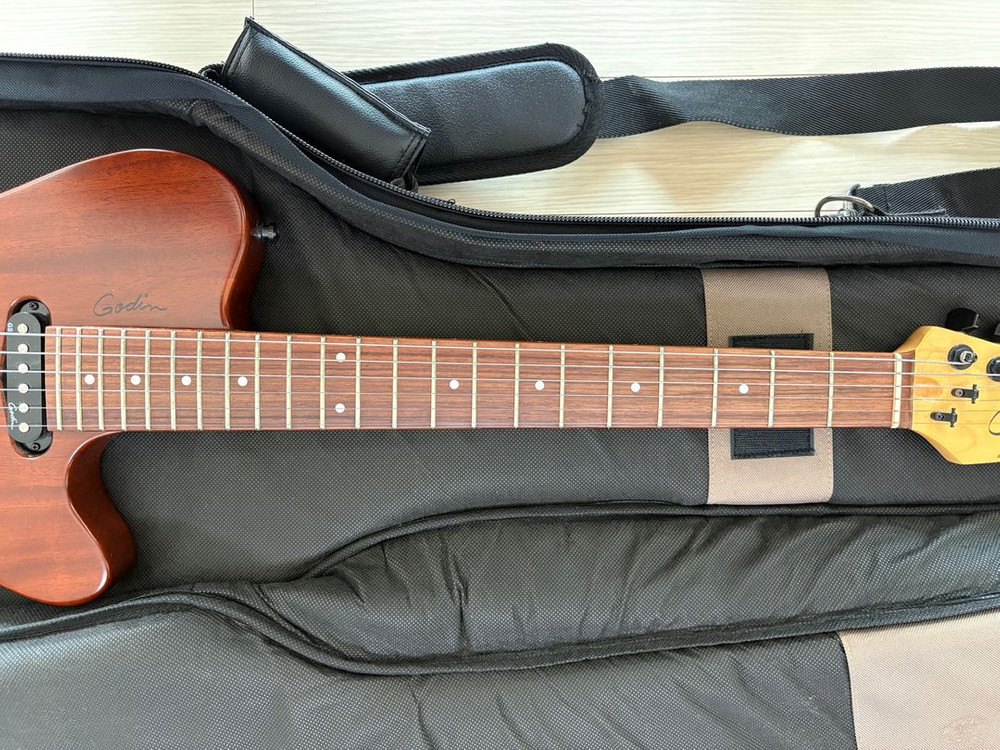 Godin Exit 22-S 북미산 일렉 기타 팝니다 이미지