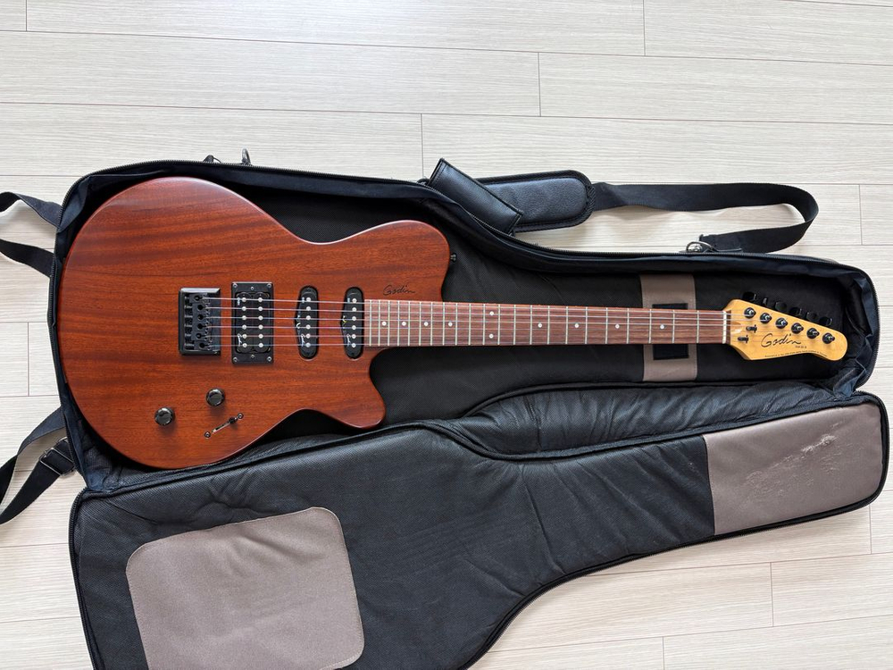 Godin Exit 22-S 북미산 일렉 기타 팝니다 이미지