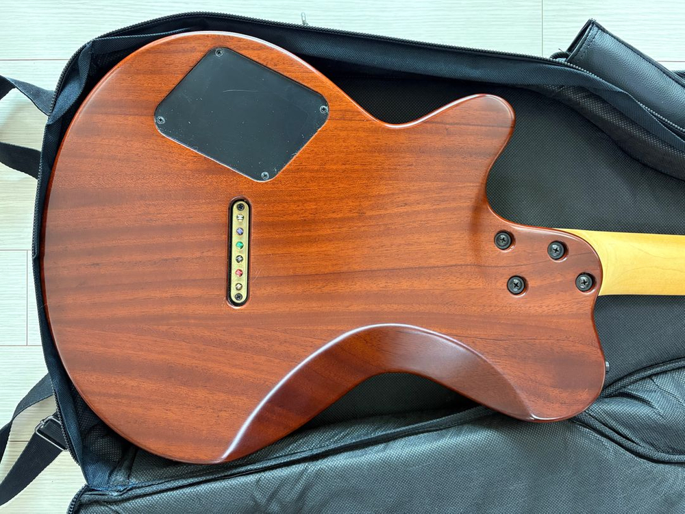 Godin Exit 22-S 북미산 일렉 기타 팝니다 이미지