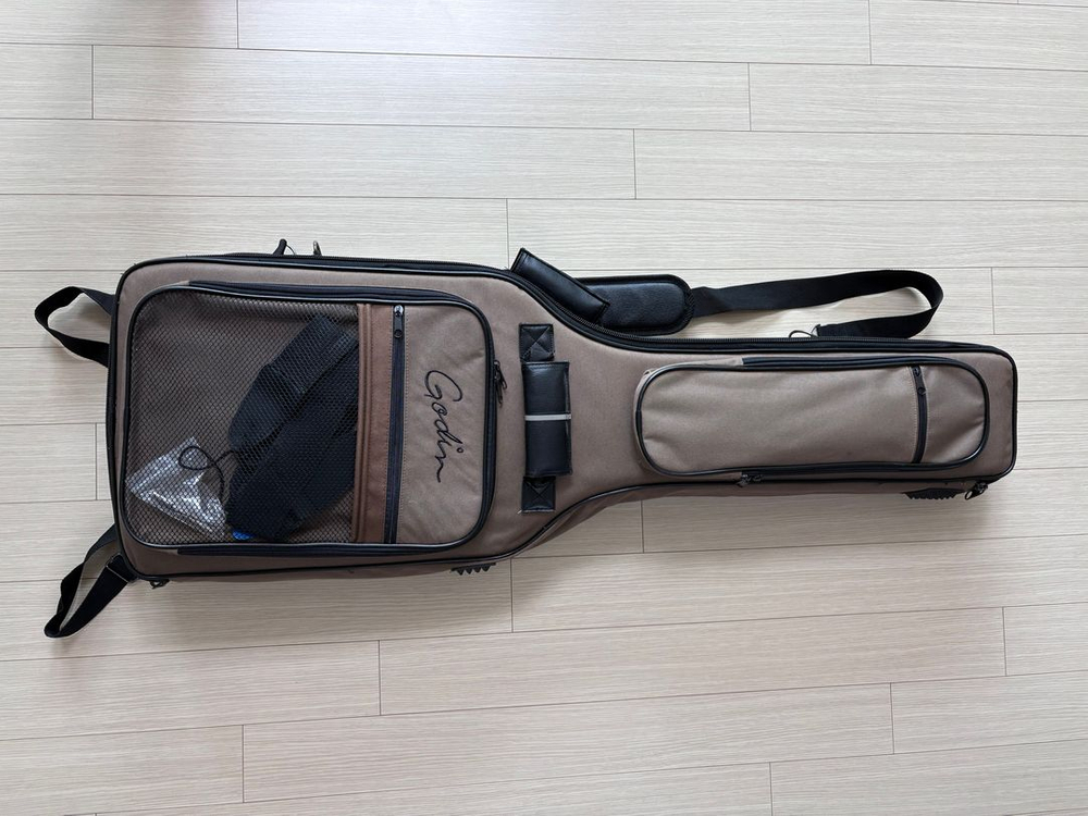 Godin Exit 22-S 북미산 일렉 기타 팝니다 이미지