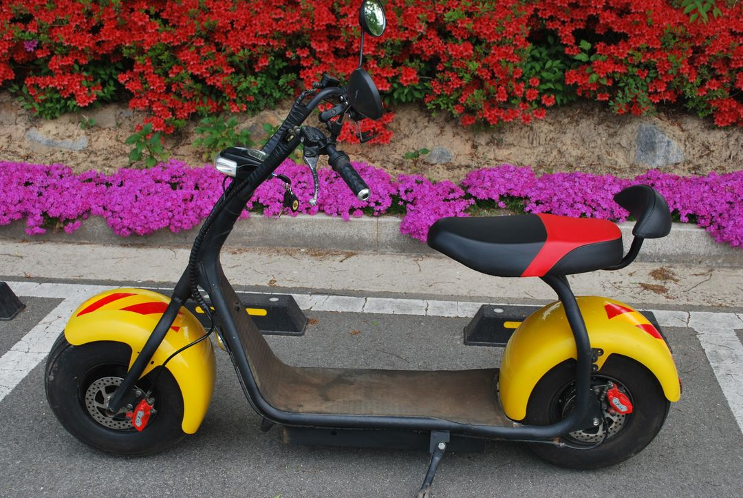 전동킥보드 이미지