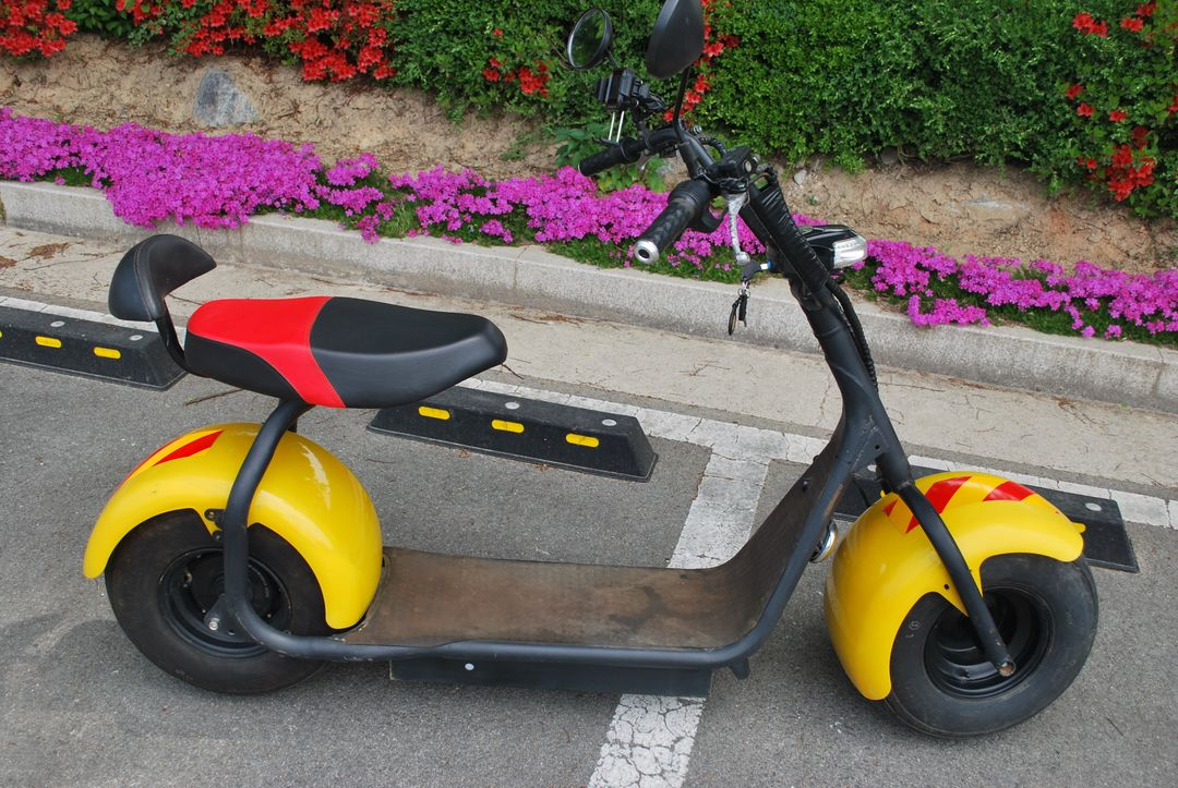 전동킥보드 이미지