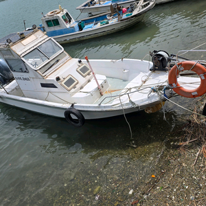 야마하 115마력 레저보트 중고 이미지