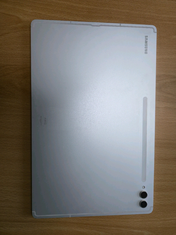 갤럭시탭 s9 울트라 5g 512 이미지