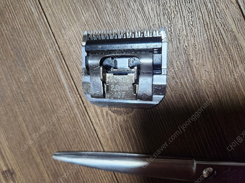 애견미용 클리퍼,날,가위 이미지
