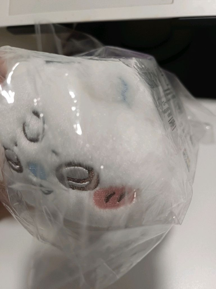 치이카와 모몽가 엉금엉금 베이비 누이 이미지