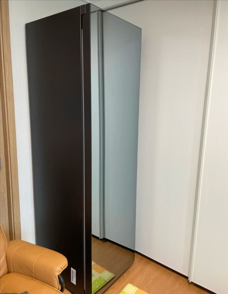 삼성 비스포크 에어드레서 5구 새틴미러 패널 DF10A9500CG 이미지