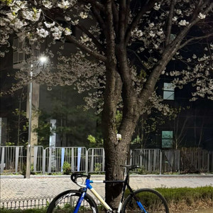 엔진11블루스킨 판/대 이미지