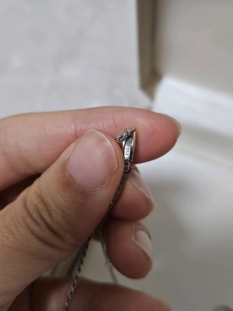 다미아니 벨에포크 라지 제작목걸이 이미지