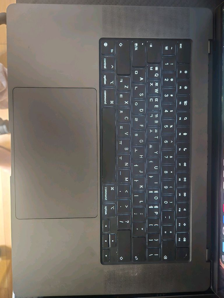 맥북프로m4 max 48gb 16인치 1tb 이미지