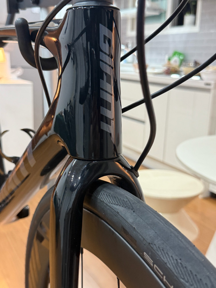 2021 자이언트 tcr 어드밴스 2 + 아비아브 아데온 카본휠셋 로드자전거 이미지