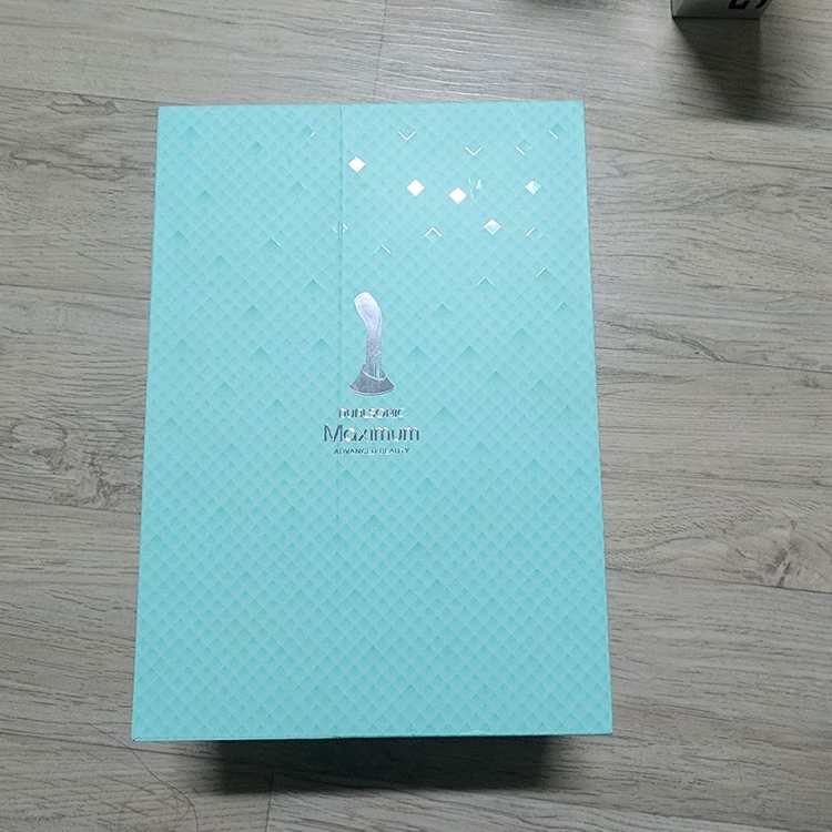 듀얼소닉 맥시멈 뷰티 디바이스 민트색상 이미지