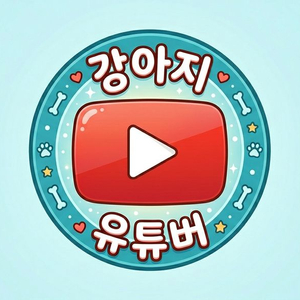 유튜브 본인 채널 수창 채널로 안전하게 만들어 드려요 이미지