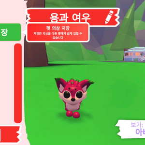 입양하세요 펫 용과 여우 판매합니다 이미지