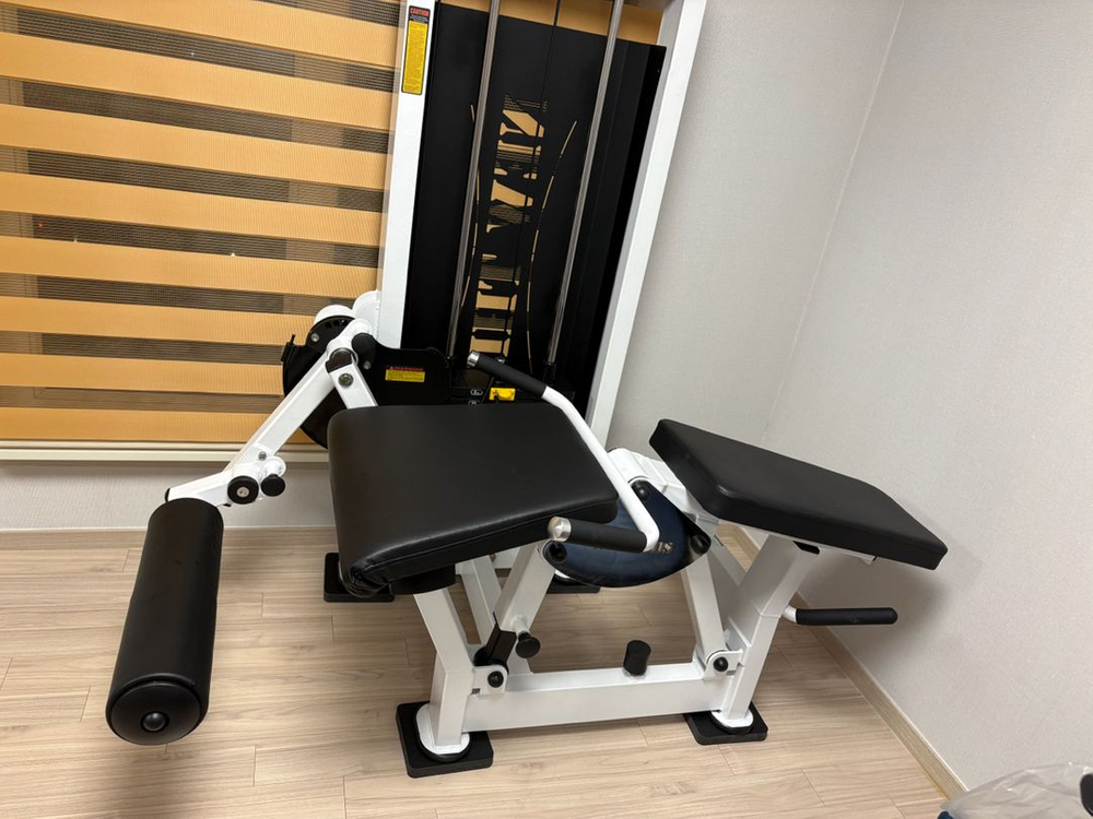 뉴디스 레그익스텐션 레그컬 듀얼머신 이미지