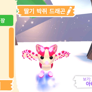 입양하세요 펫 네온 딸기 박쥐 드래곤(네딸박) 판매합니다 이미지