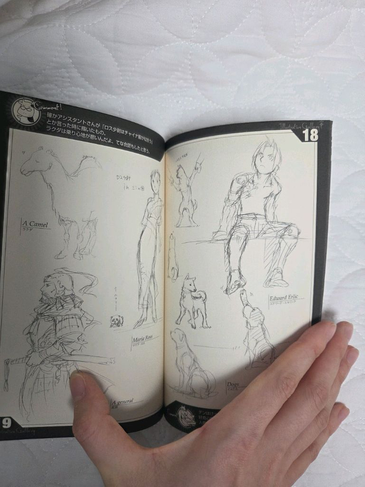 강철의 연금술사 러프집 이미지