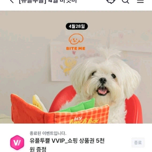 바잇미 반려동물용품 VIP 상품권 5천원 [빠른답장 문자전송] 이미지