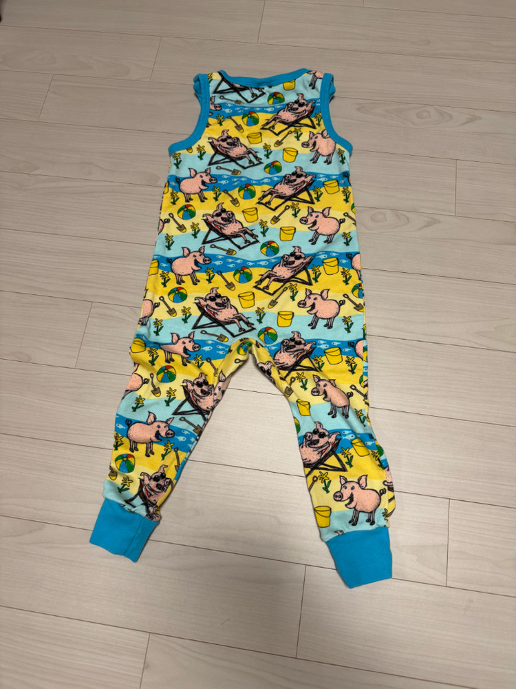 던스 비치피그 덩가리 86 중고 이미지