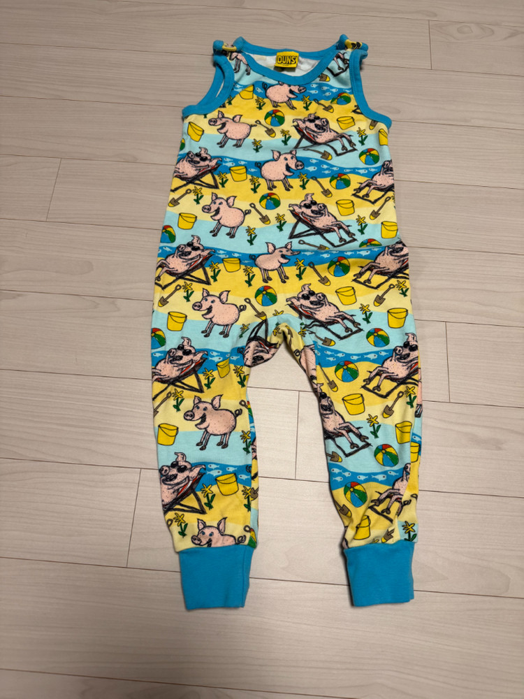 던스 비치피그 덩가리 86 중고 이미지