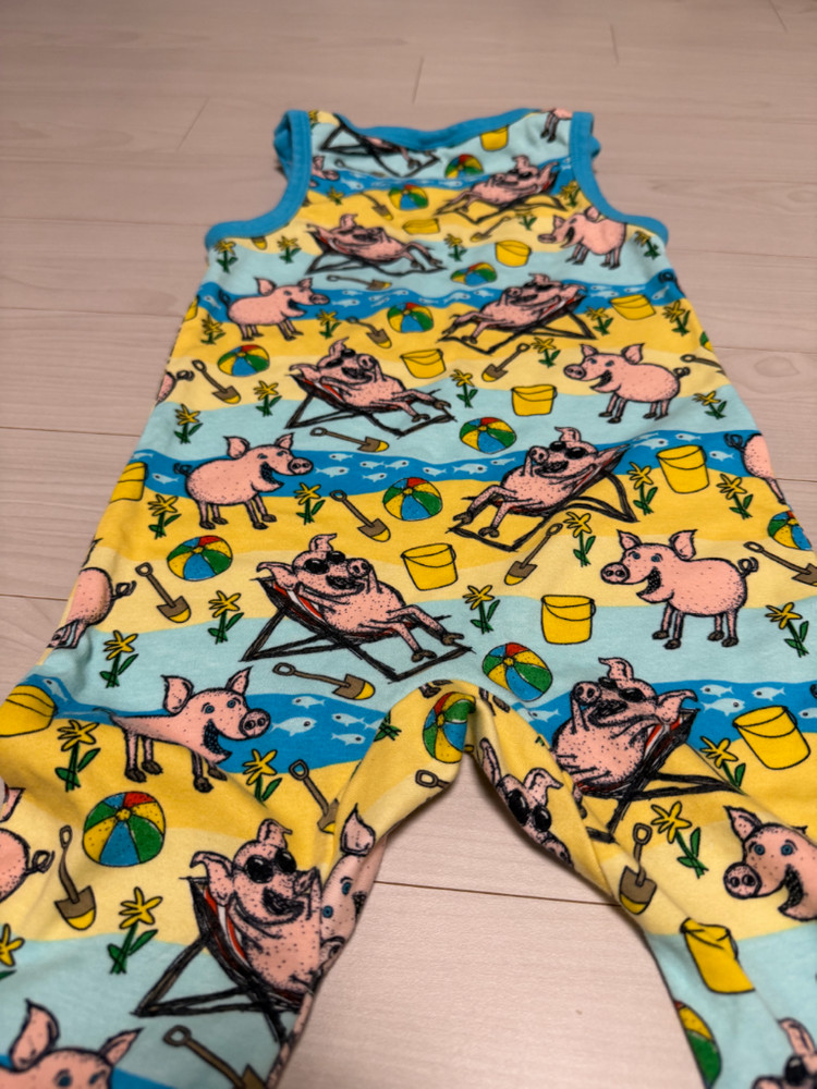 던스 비치피그 덩가리 86 중고 이미지