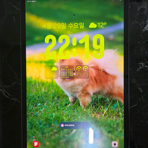 갤럭시탭 s10 플러스 5g 256기가팝니다 이미지