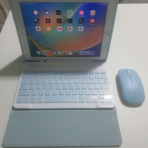 아이패드 프로 9.7 256G WIFI 1세대 풀세트 팔아요(휴대성최강,노트북 대용O) 이미지