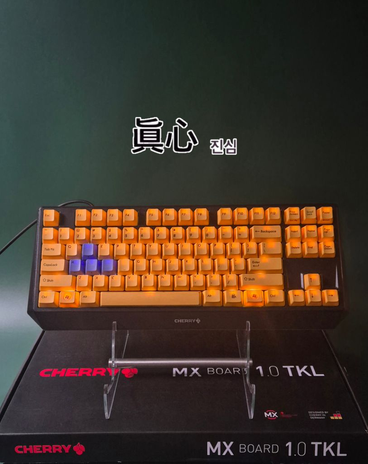 체리 MX BOARD 1.0 체리 갈축 게이밍 키보드 이미지