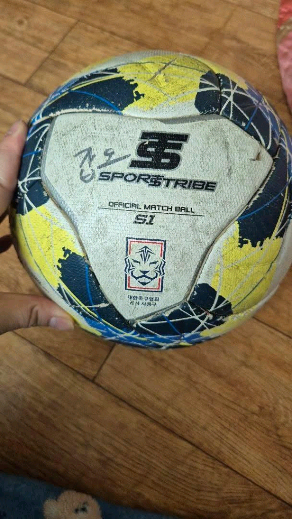 스타,스포츠트라이브 축구공 이미지