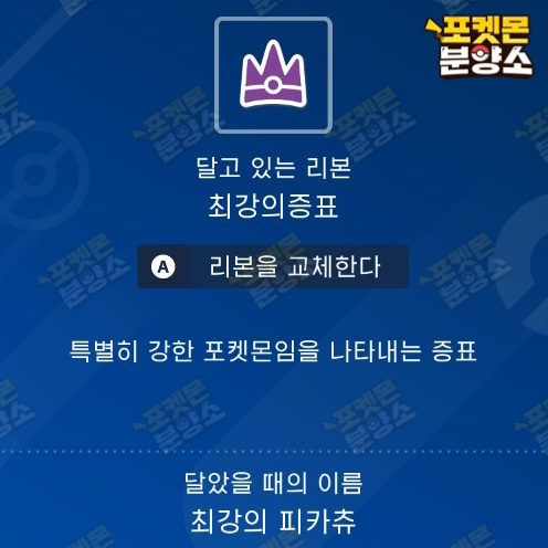 최강의 테라레이드 포켓몬 분양 / 스칼렛 바이올렛 이미지