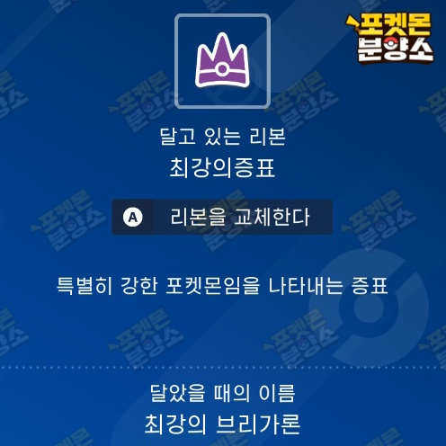 최강의 테라레이드 포켓몬 분양 / 스칼렛 바이올렛 이미지