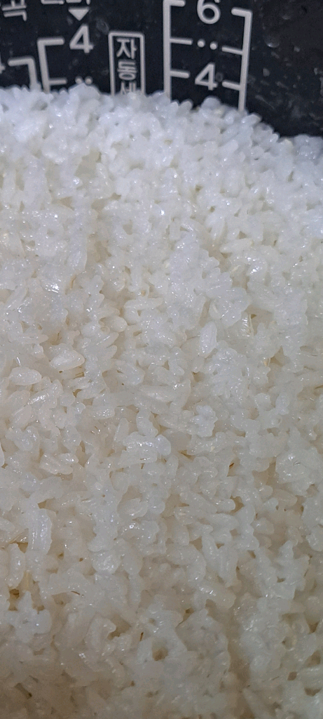 쿠첸6인용 압력밥솥 (무쇠 가마솥 덤) 이미지