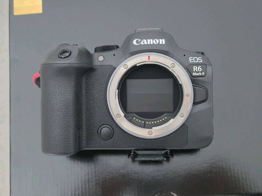캐논 eos r6 mark ii (r6m2) 민트급 이미지