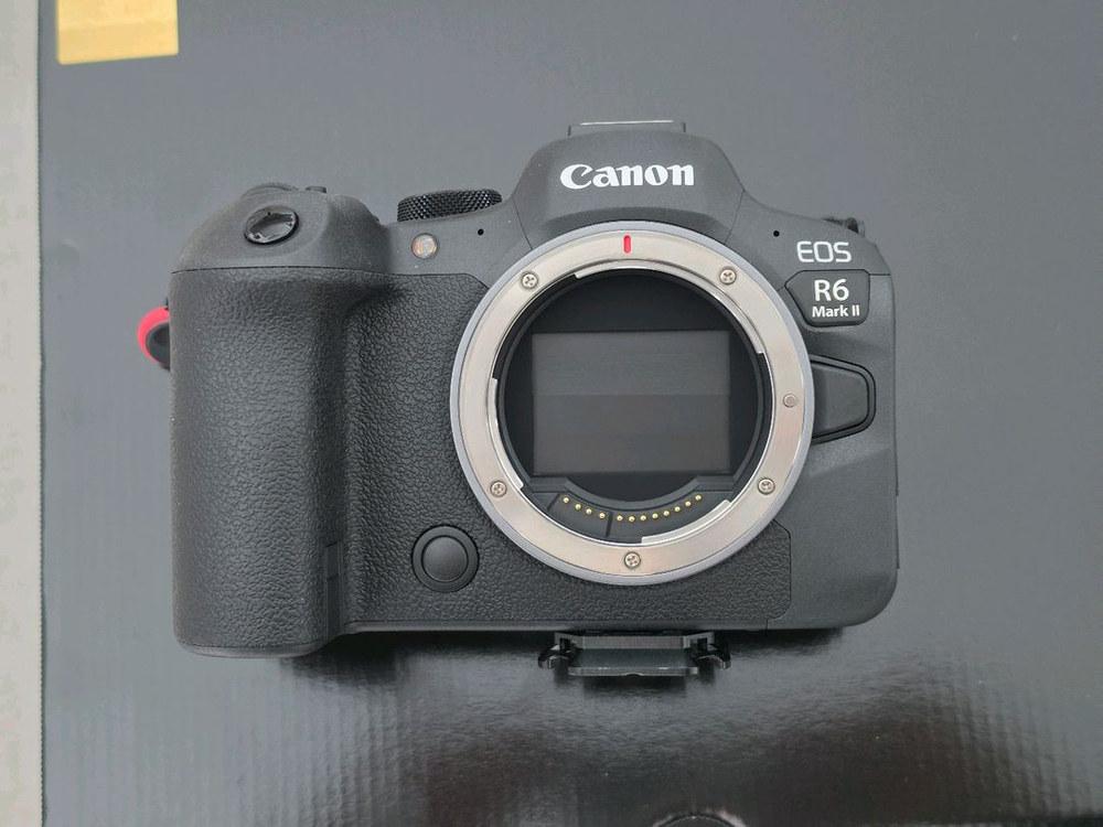 캐논 eos r6 mark ii (r6m2) 민트급 이미지
