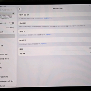 아이패드 프로 m4 13인치 256 실버 이미지