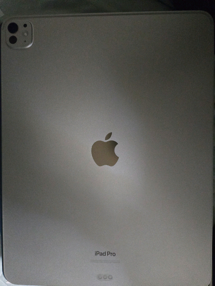 아이패드 프로 m4 13인치 256 실버 이미지