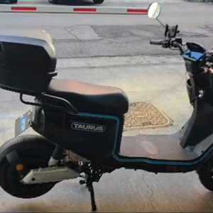 타우러스 ES 듀얼 전기 스쿠터 이미지
