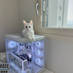 [구매] rtx4080 super 화이트 스트릭스 삽니다. 4080 super rog strix white 이미지
