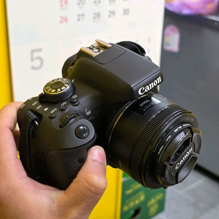 캐논 EOS 750D + 50mm f1.8 이미지