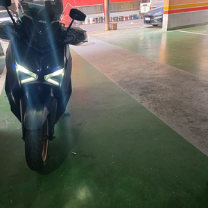 xmax300 페리 이미지