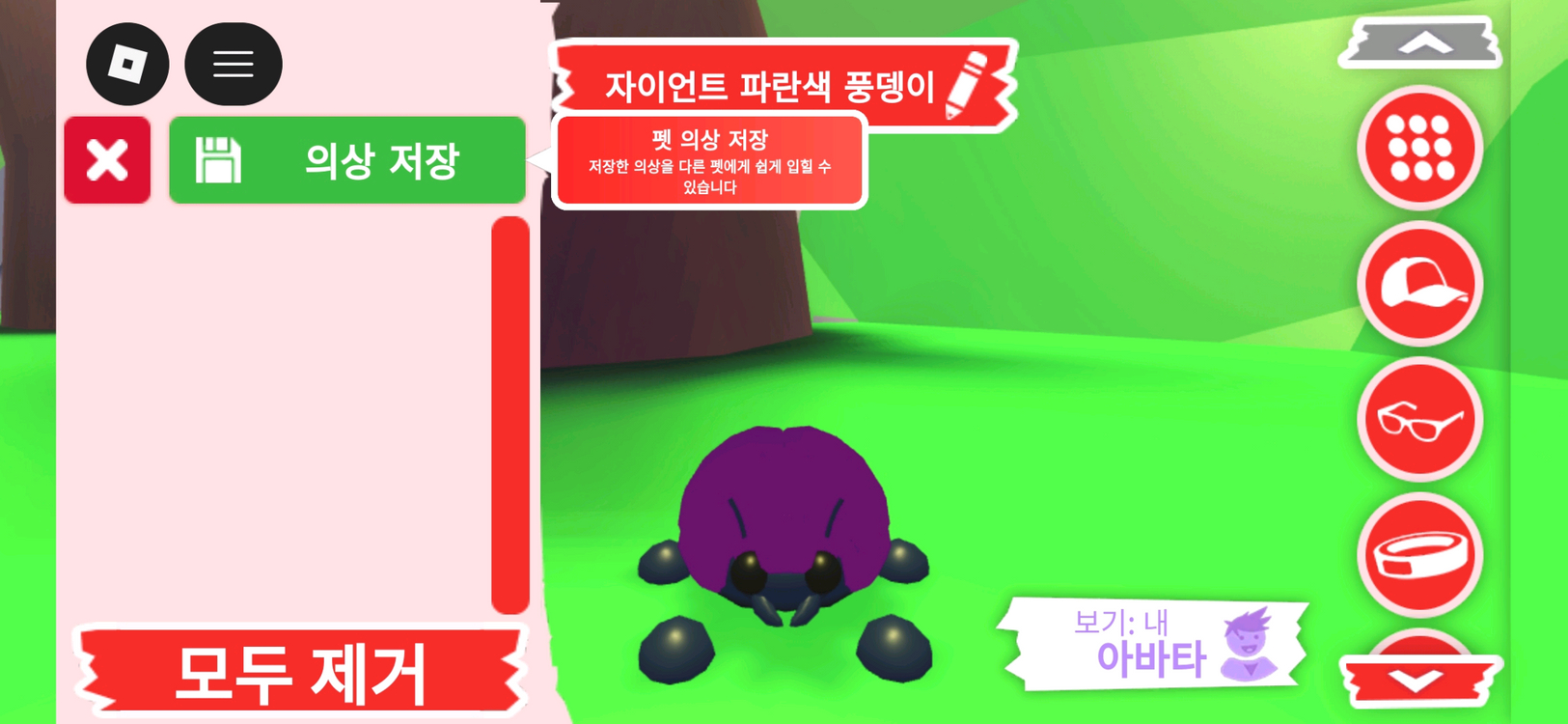 입양하세요 펫 메가네온 자이언트 파란색 풍뎅이 판매합니다 이미지