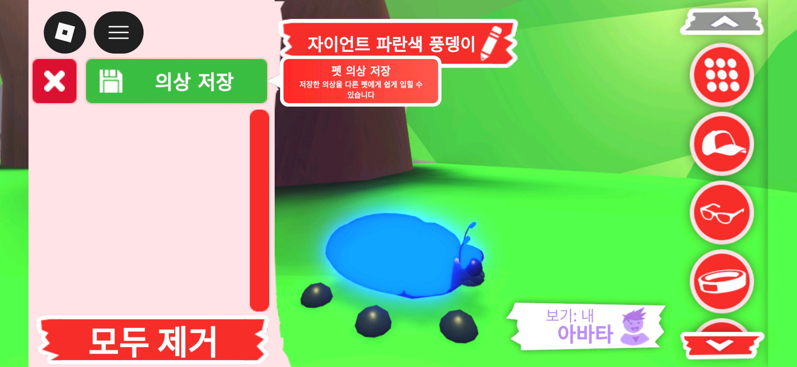 입양하세요 펫 메가네온 자이언트 파란색 풍뎅이 판매합니다 이미지