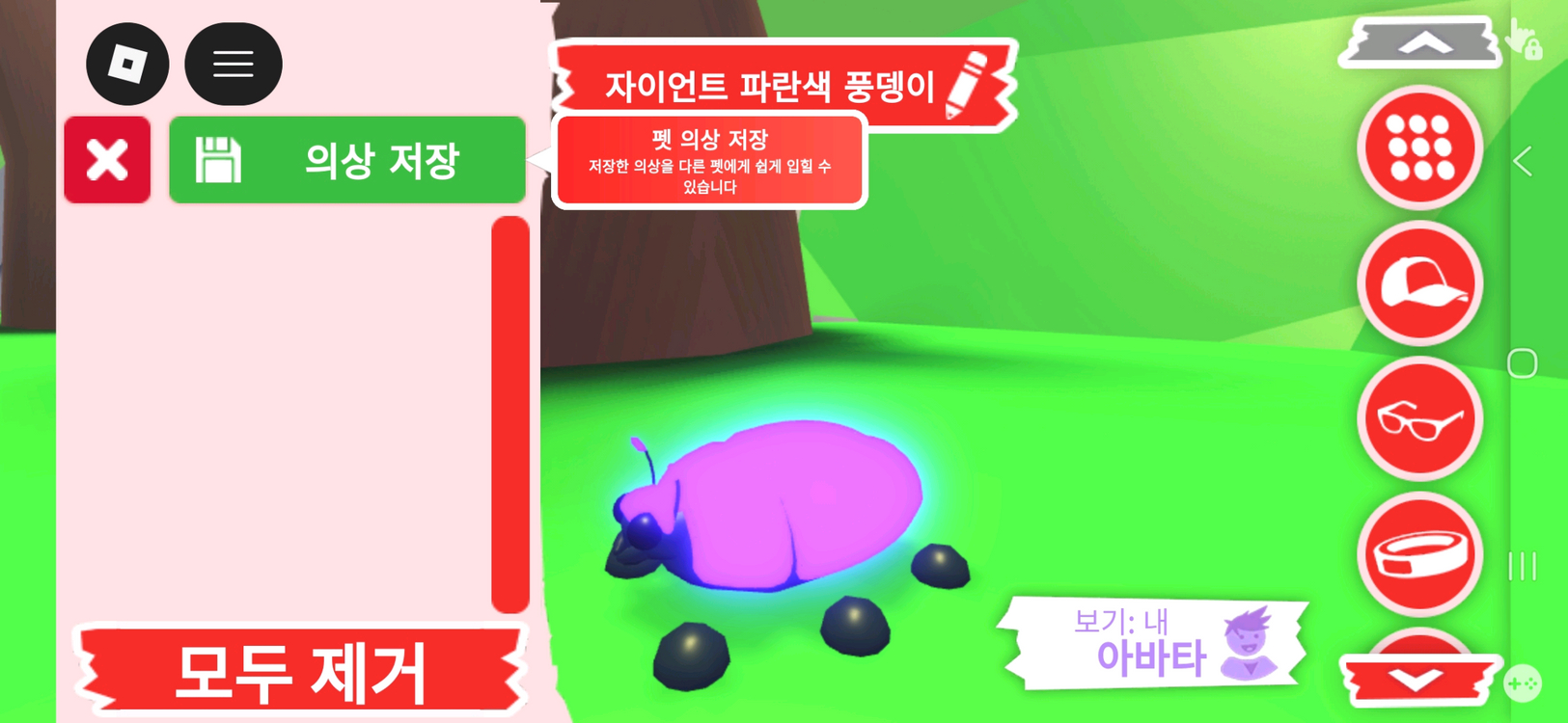 입양하세요 펫 메가네온 자이언트 파란색 풍뎅이 판매합니다 이미지