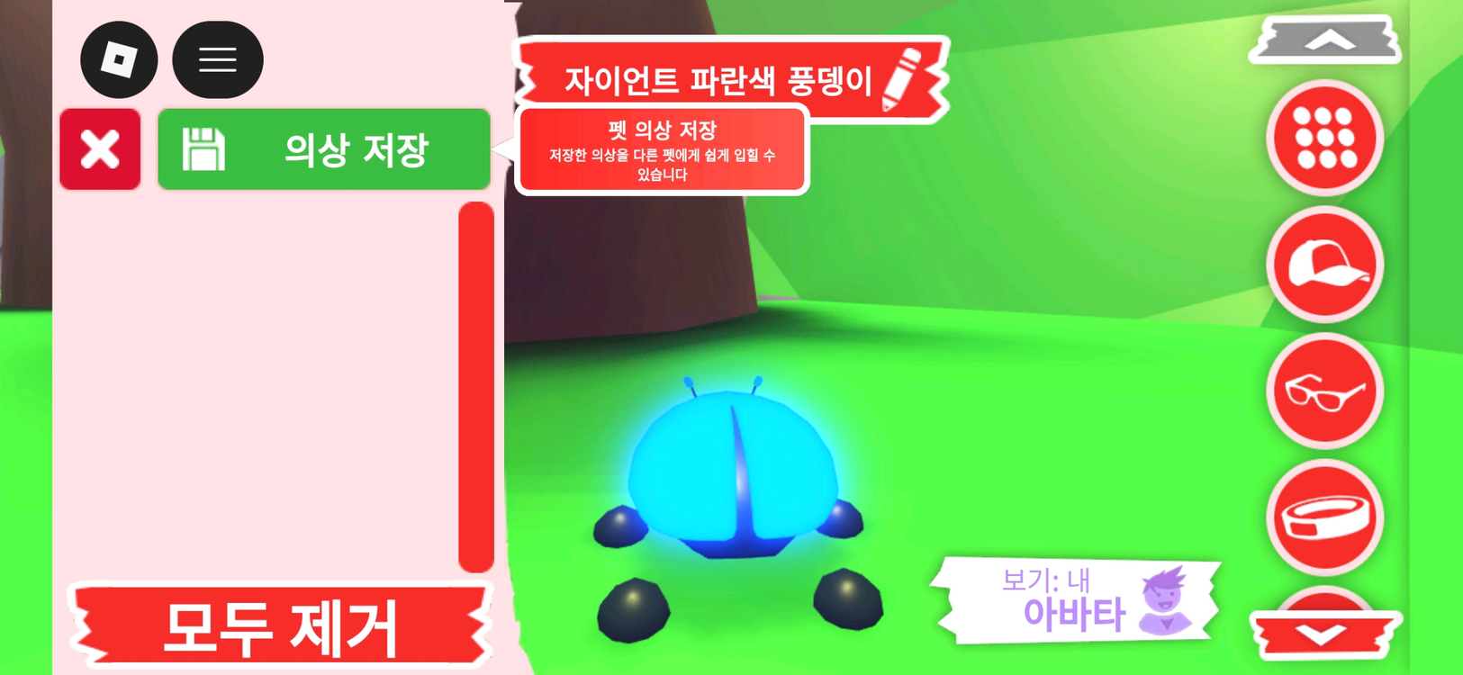 입양하세요 펫 메가네온 자이언트 파란색 풍뎅이 판매합니다 이미지