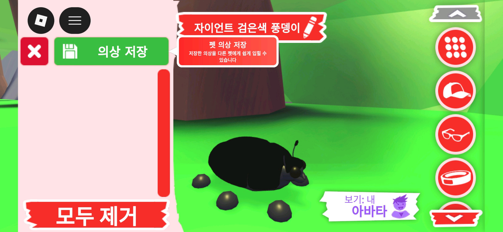 입양하세요 펫 메가네온 자이언트 검은색 풍뎅이 판매합니다 이미지