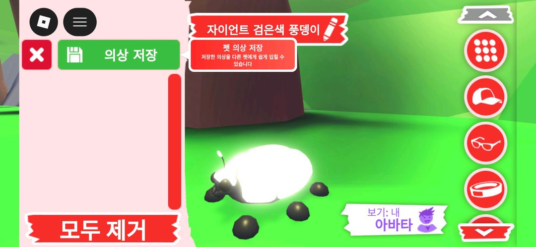 입양하세요 펫 메가네온 자이언트 검은색 풍뎅이 판매합니다 이미지