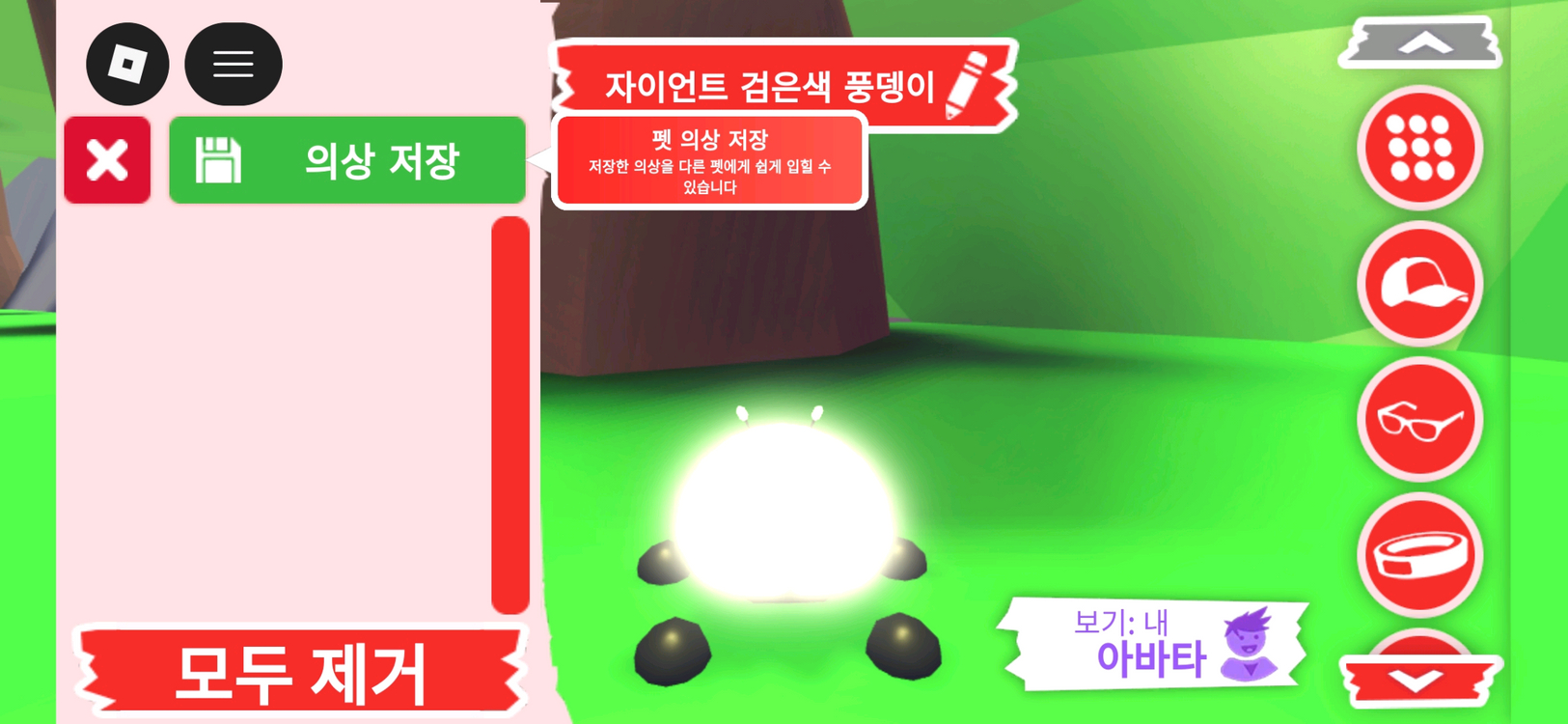 입양하세요 펫 메가네온 자이언트 검은색 풍뎅이 판매합니다 이미지