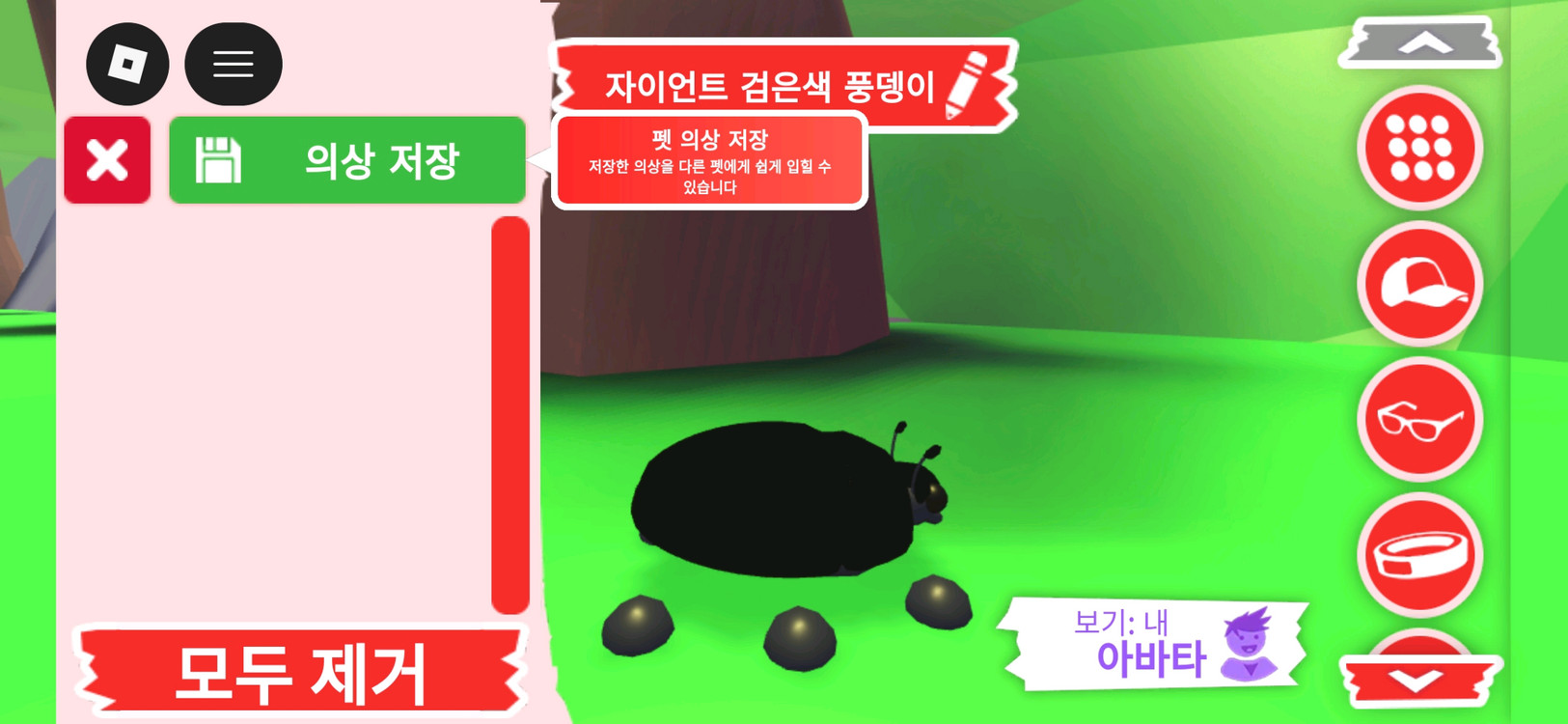 입양하세요 펫 메가네온 자이언트 검은색 풍뎅이 판매합니다 이미지