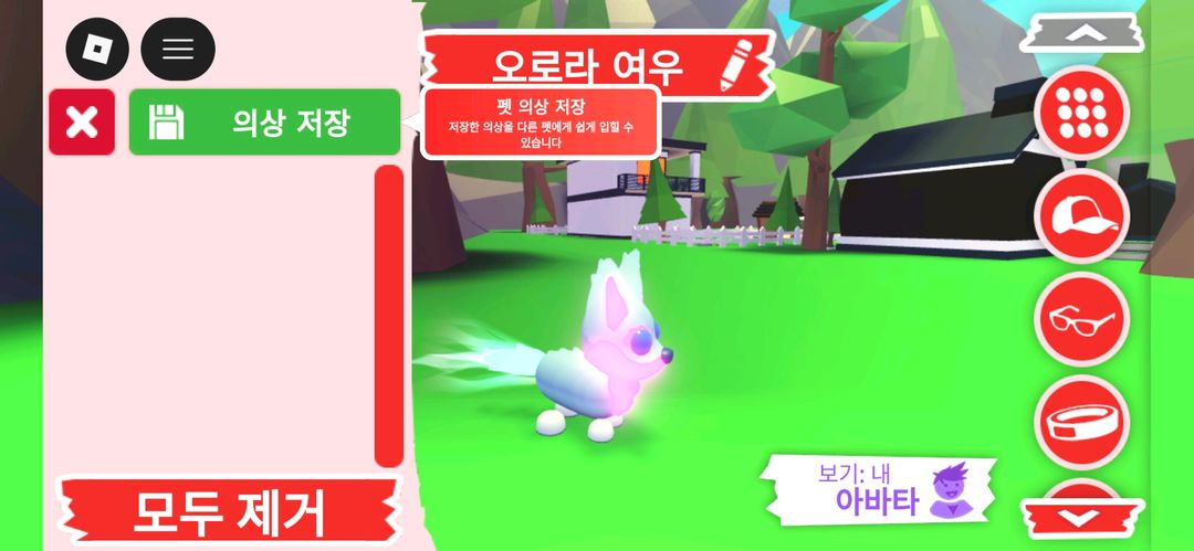 입양하세요 펫 메가네온 오로라 여우 판매합니다 이미지